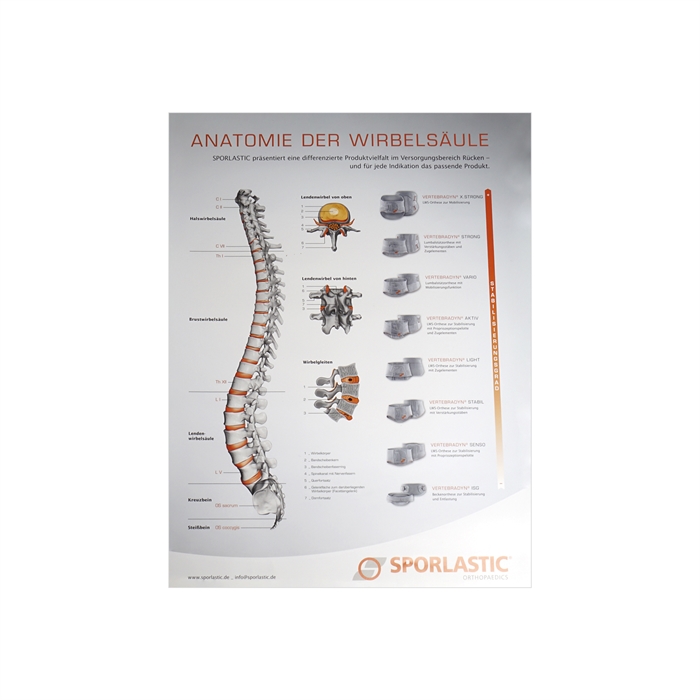 Sporlastic Anatomisk Rygplakat 594 x 841 cm