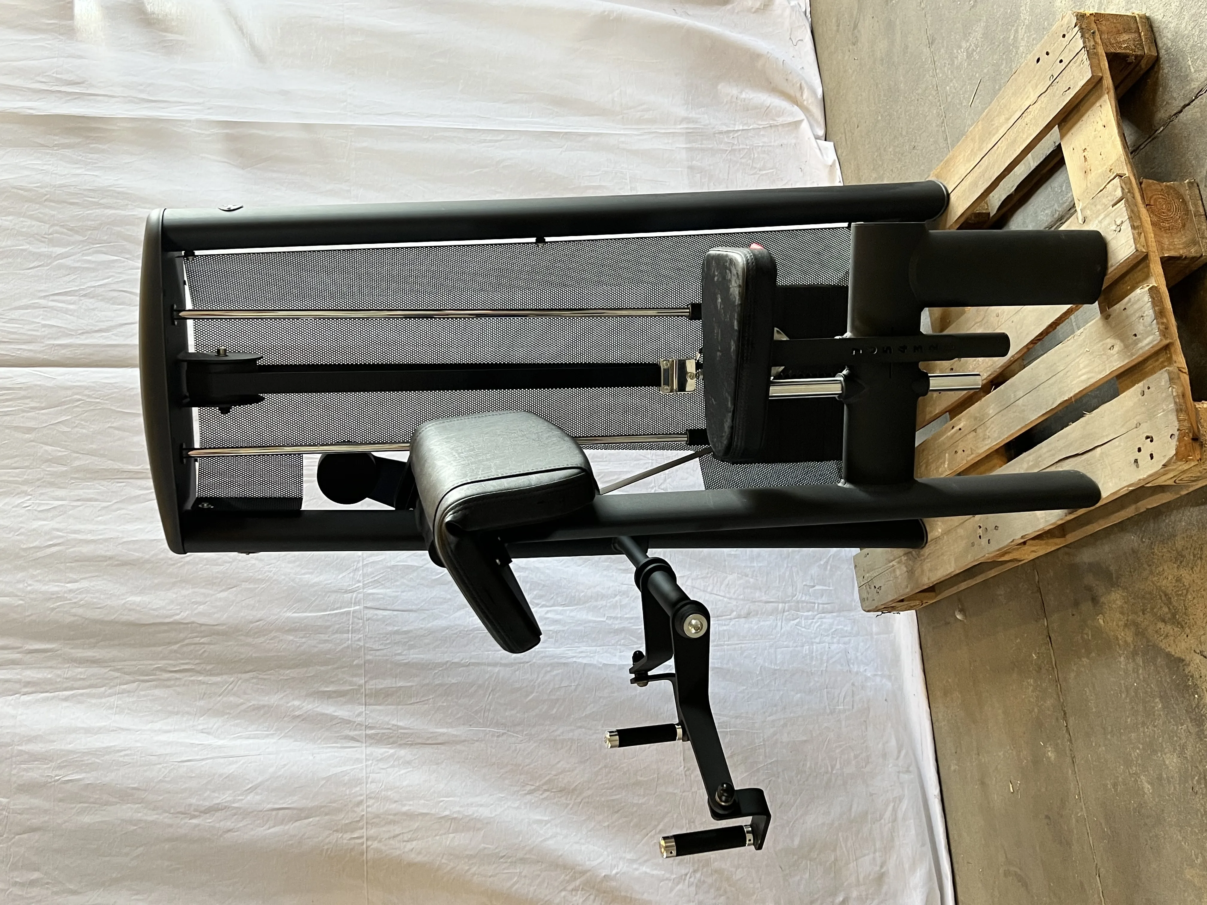 Gym80 Standard Biceps Curl - Demo Model