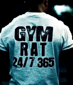 Gym Rat 247 T-shirt Str. S