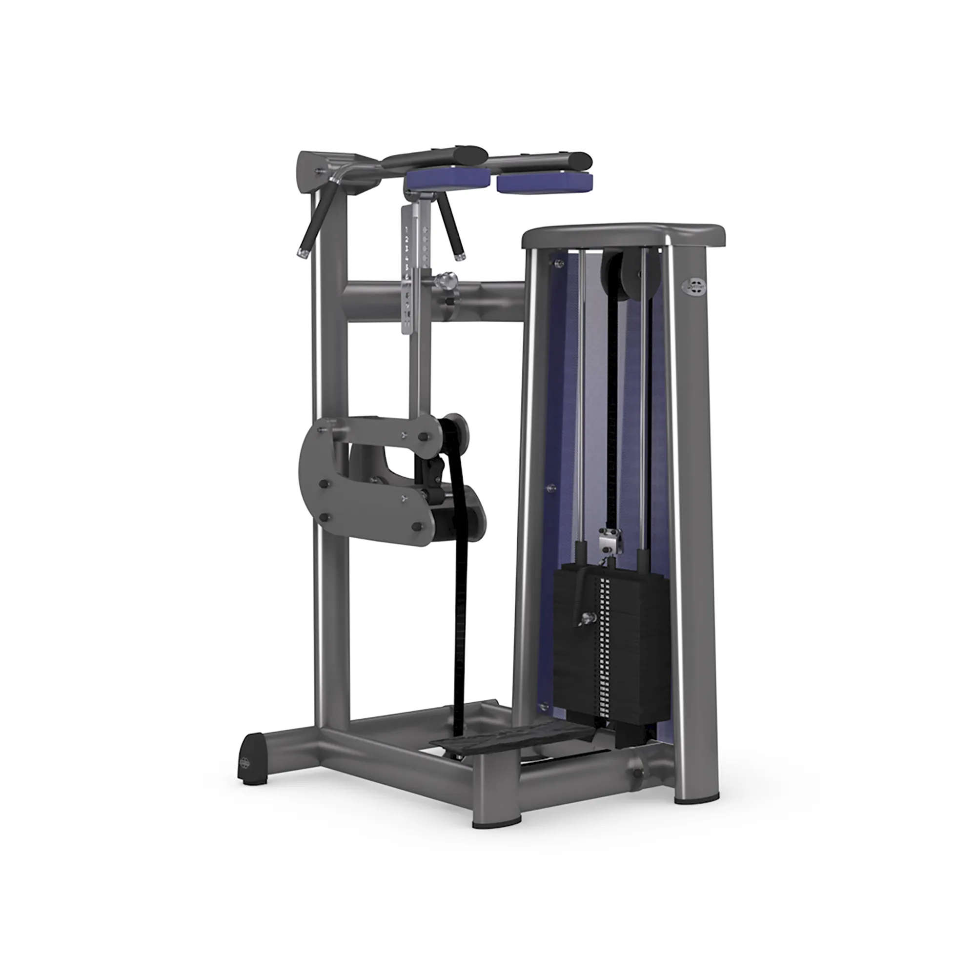 Gym80 Sygnum Stående Lægmaskine