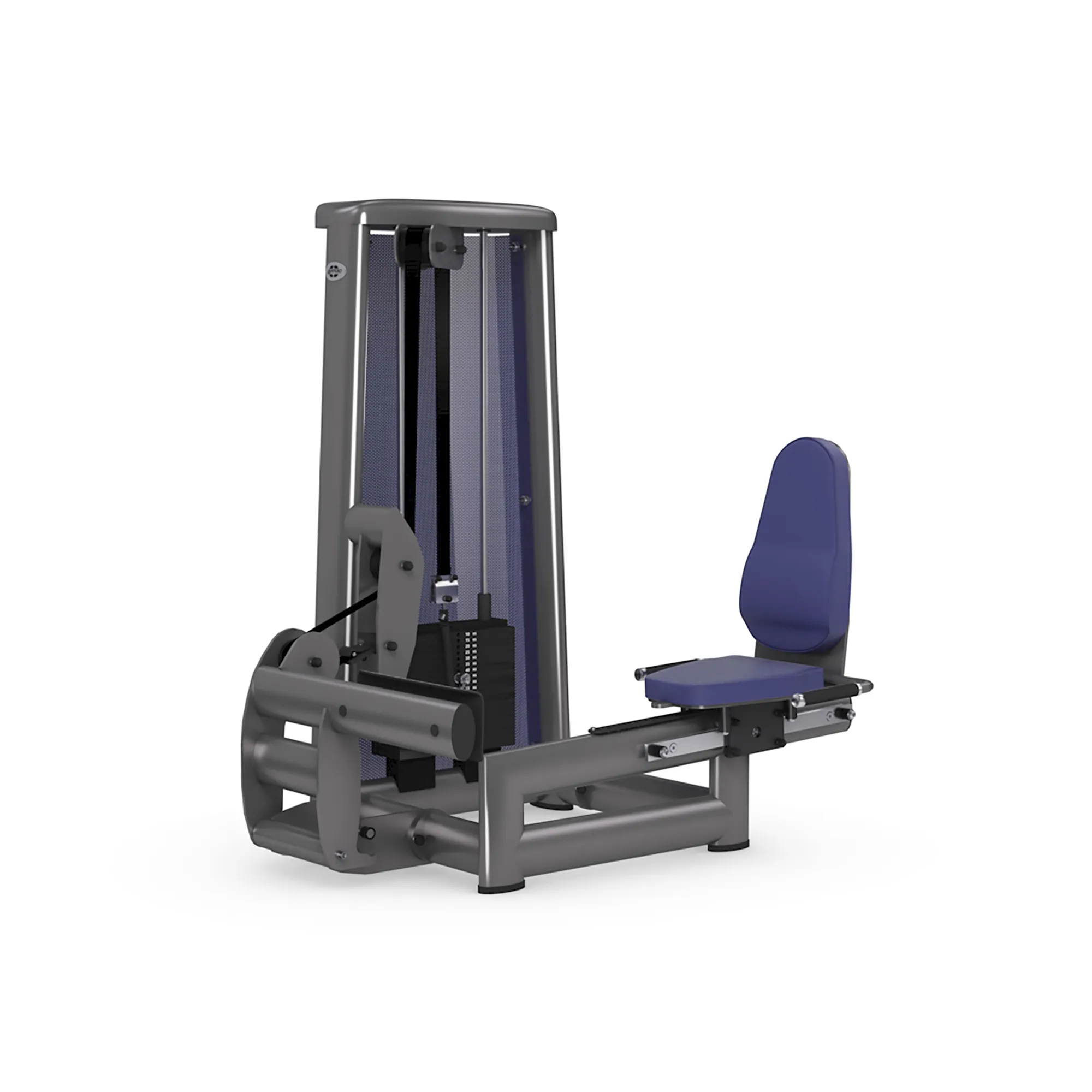 Gym80 Sygnum Siddende Lægmaskine