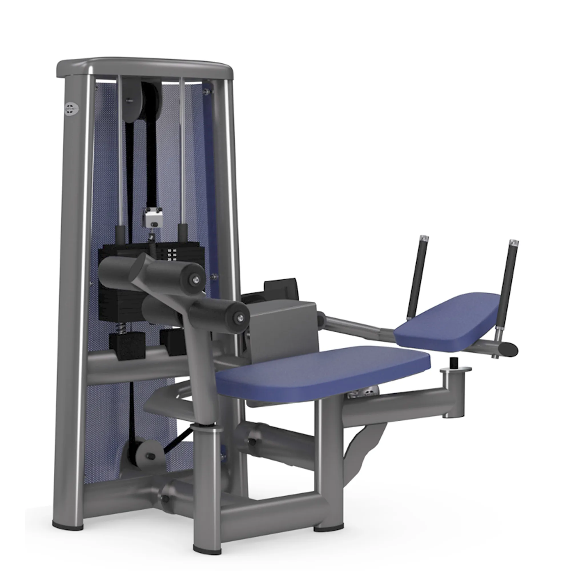 Gym80 Sygnum Mave Crunch Maskine